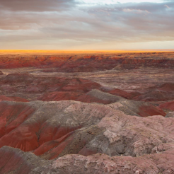 Stacy LeClair | Painted Desert