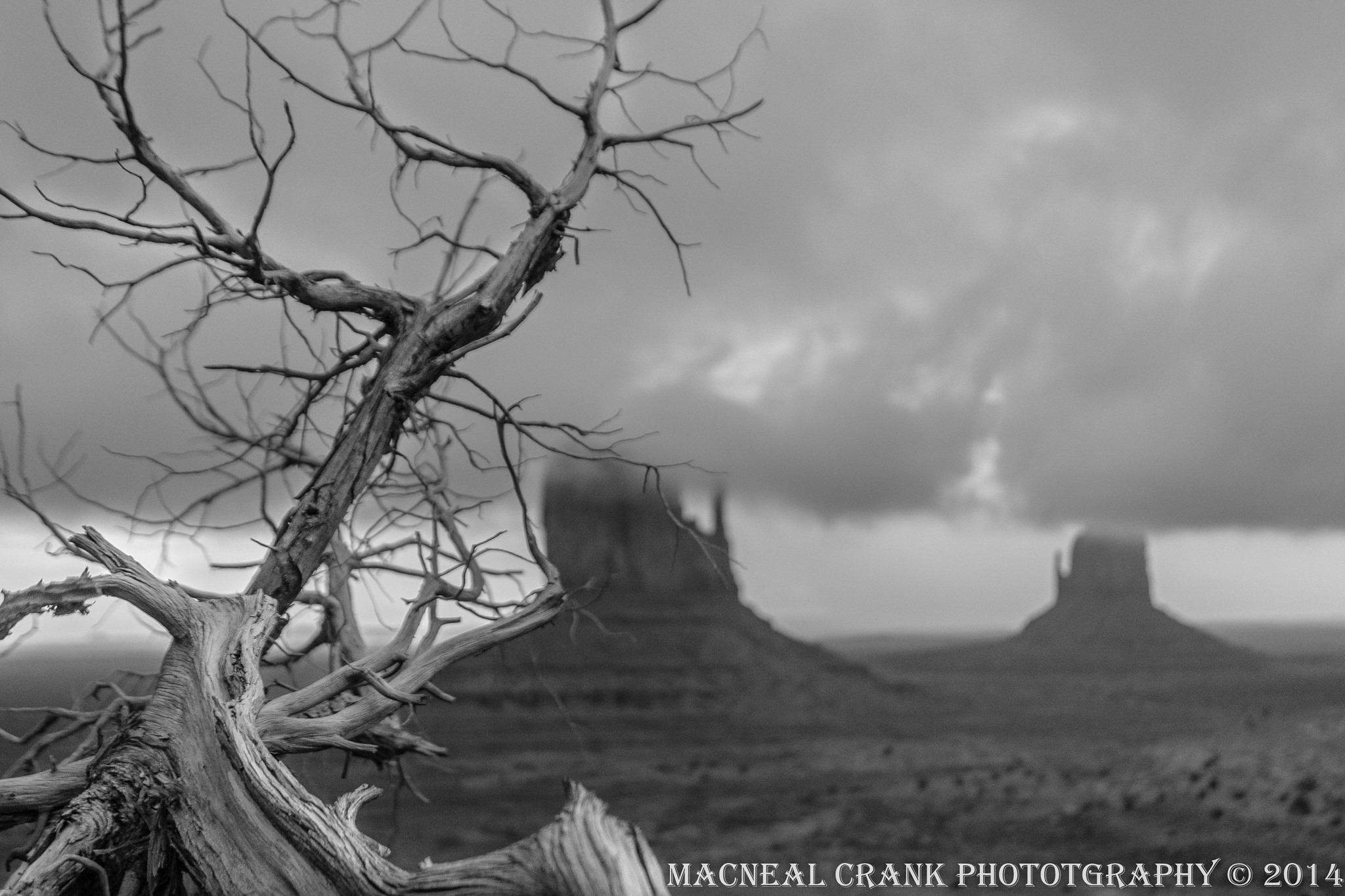Friday Fotos: Black and White and Arizona All Over | Arizona Highways2048 x 1365