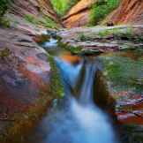 Peter James Nature Photography | Oak Creek Canyon