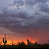Heavenly Images by Debbie Angel‎ | Tucson